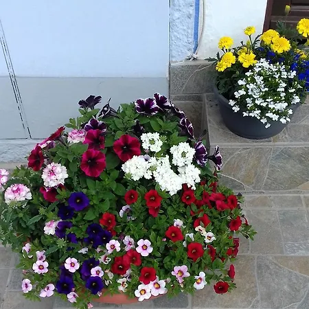 Gasthof Haus Gell Mauterndorf (Salzburg)